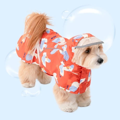 Patterned Raincoat (3 colors)