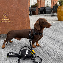No-Pull Harness (Polka Dot)