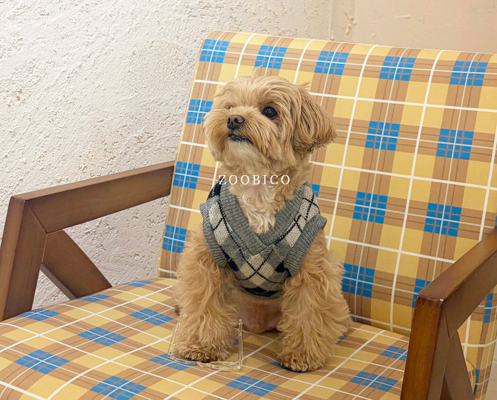 Argyle Knit Vest (2 colors)