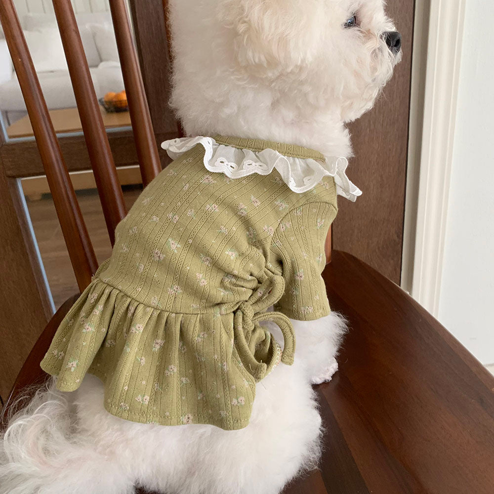 Lace Collar Shirred Dress (3 colors)