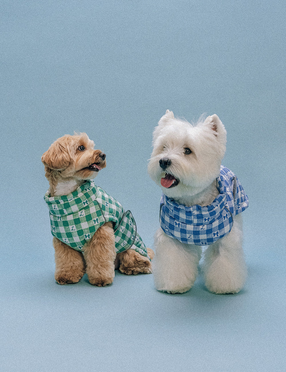 Gingham Thermo-Heat Padded Jacket (3 colors) preorder