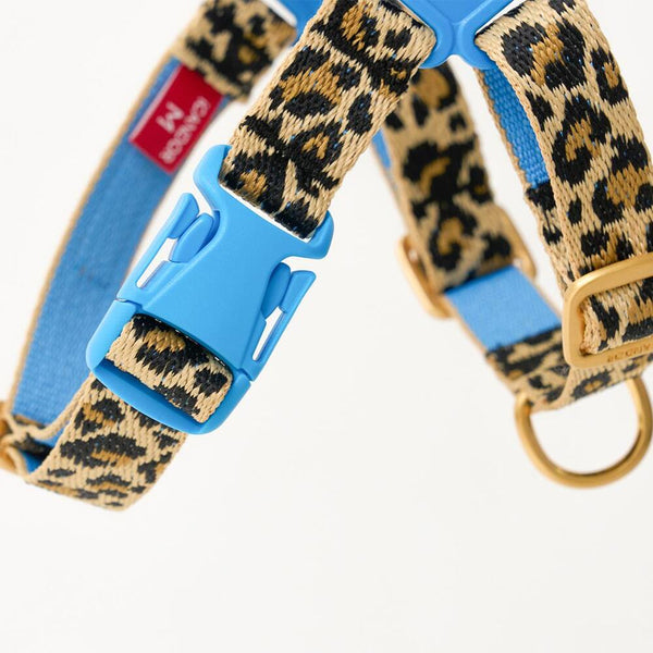 No-Pull Harness (Leopard)