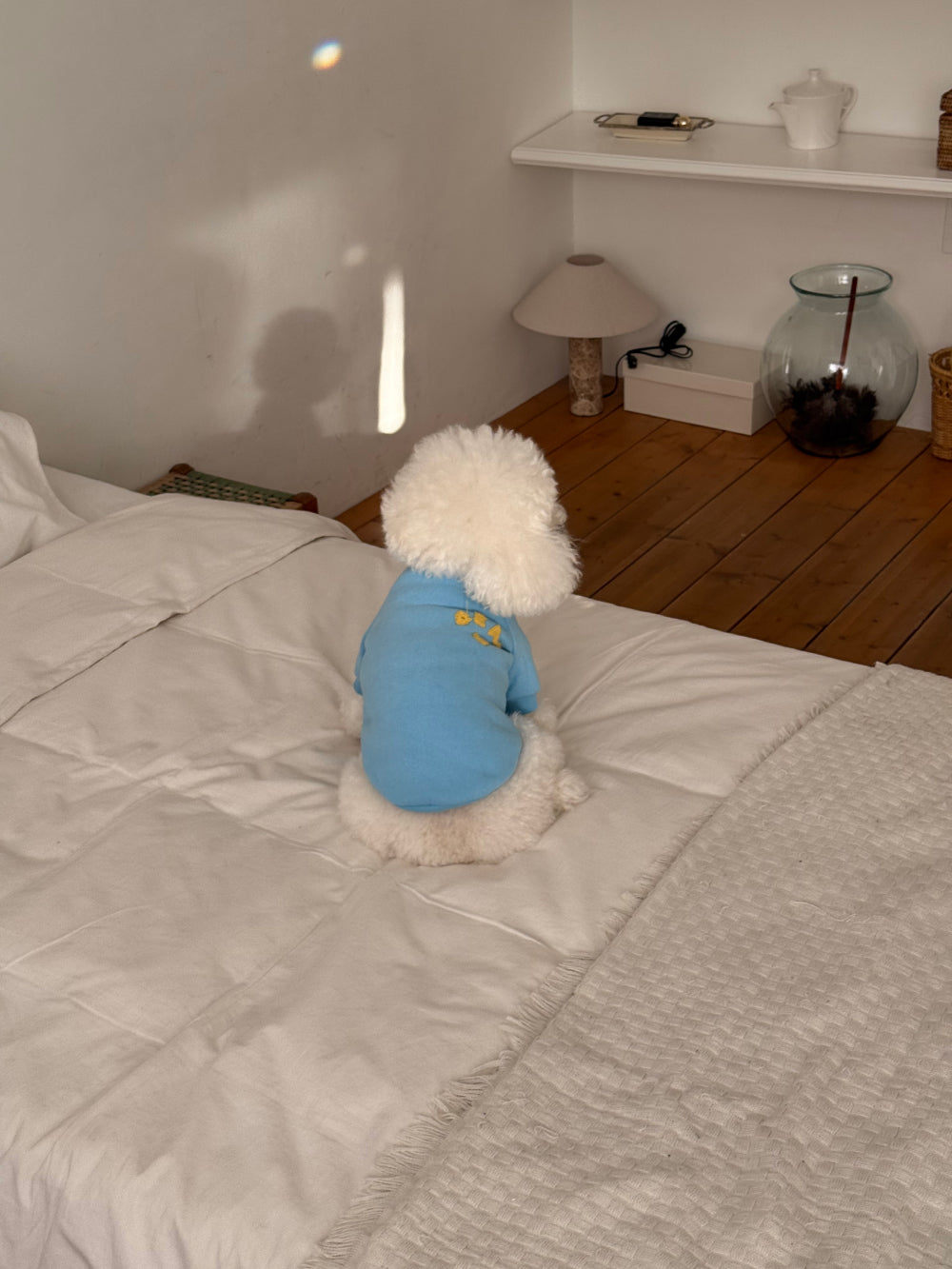 Cotton Candy Sweatshirt (4 colors)