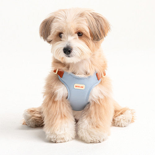 Comfort Harness (3 colors)
