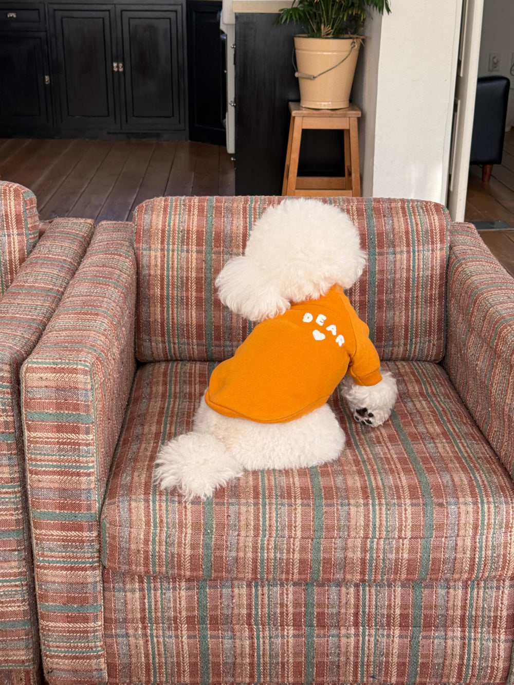 Cotton Candy Sweatshirt (4 colors)