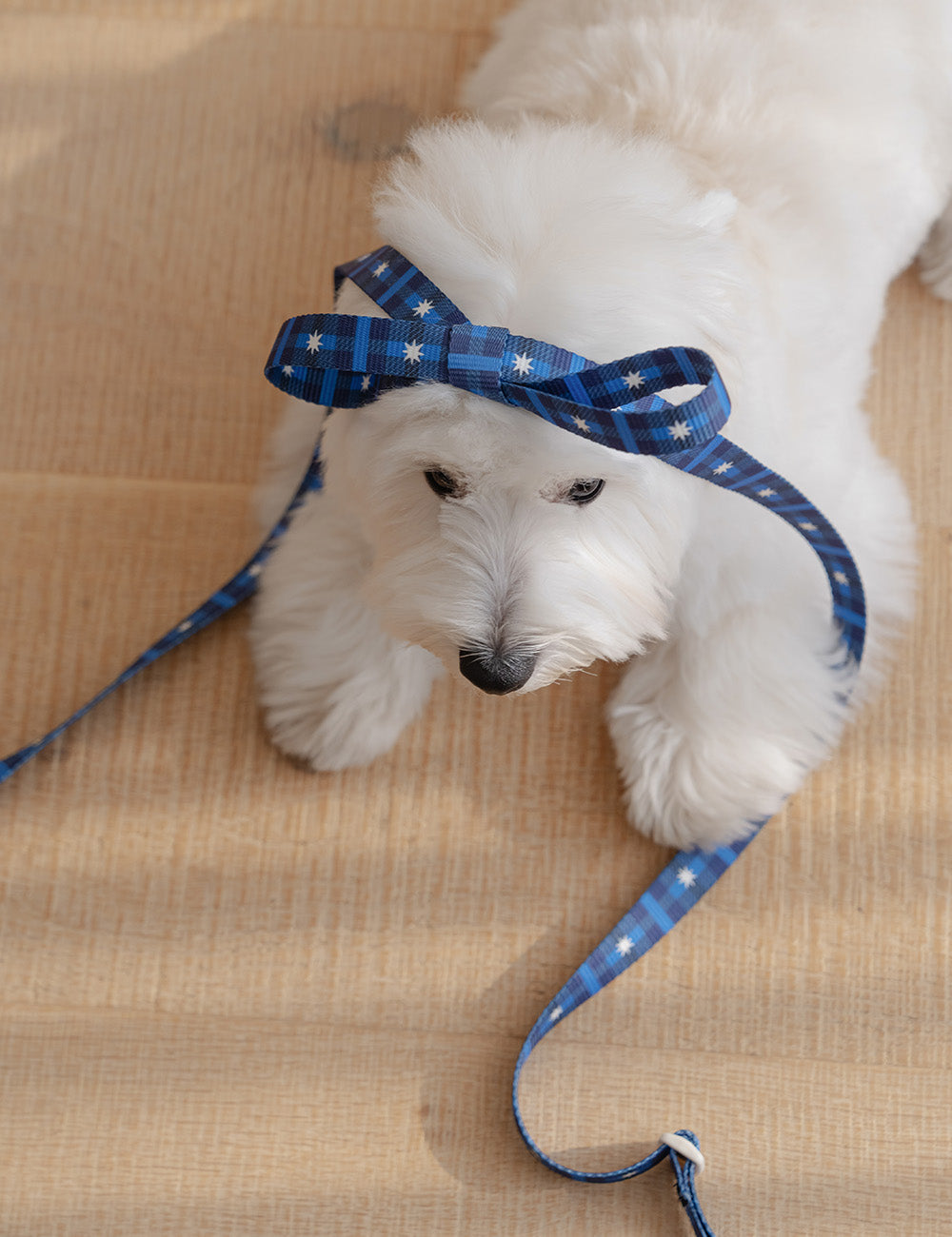 Stella Check Hands-Free Leash (2 colors)