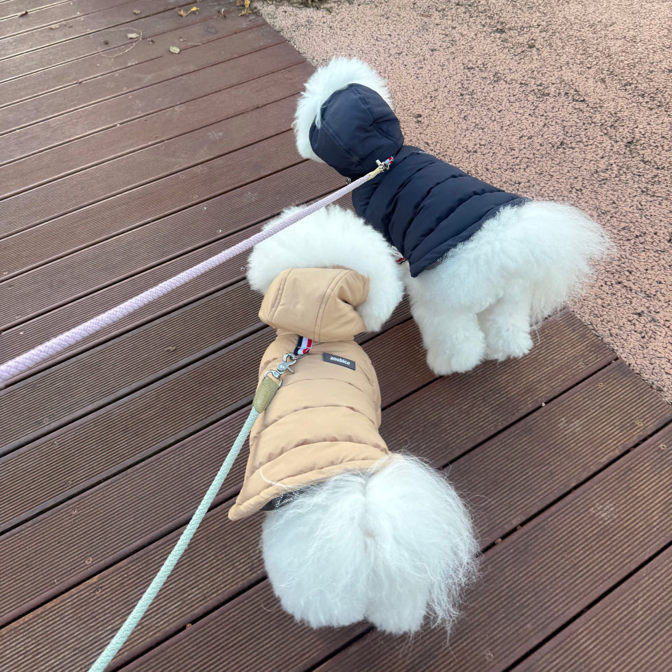 Tricolor Hooded Puffer Jacket (3 colors)