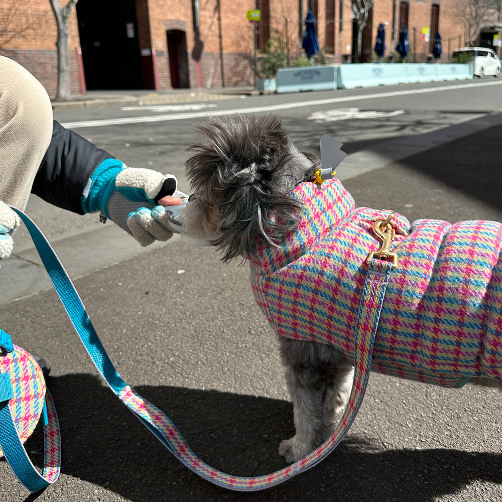 Thermo 3 Edinburgh Check Padding (Candy Tartan) Preorder