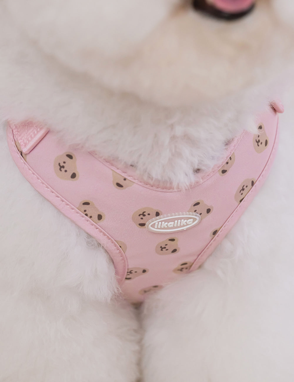 Bear Bebe Harness X-type (3 colors)