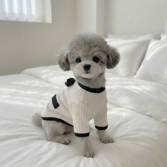 Coco Pocket Tee (2 colors)