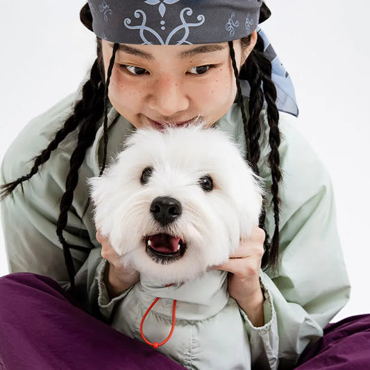 Latta Filmcover Windbreaker Jacket for people (3 colors)