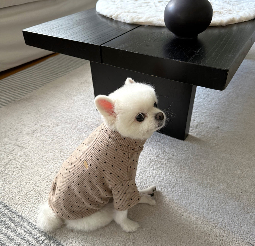 Polka Corduroy Turtleneck Tee (5 colors)