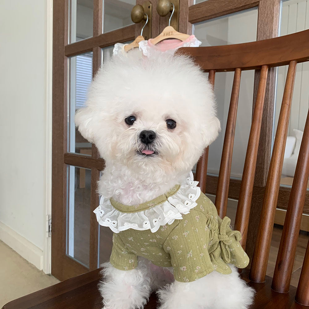 Lace Collar Shirred Dress (3 colors)