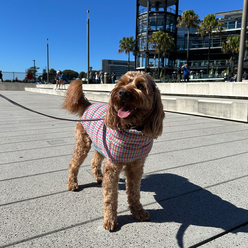 Thermo 3 Edinburgh Check Padding (Candy Tartan) Preorder