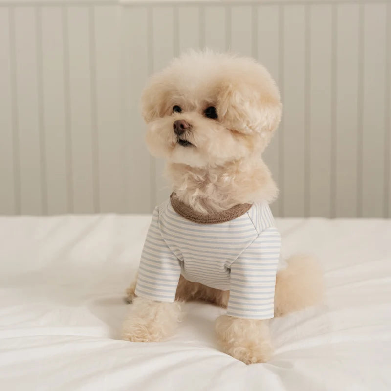 Basic Stripe T-Shirt (3 colors)