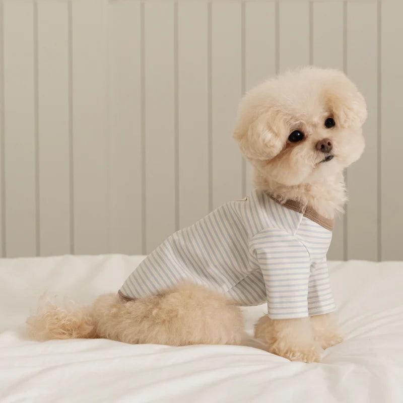 Basic Stripe T-Shirt (3 colors)