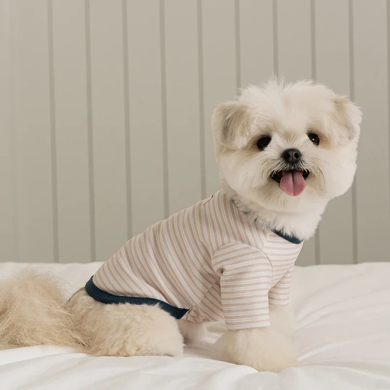Basic Stripe T-Shirt (3 colors)