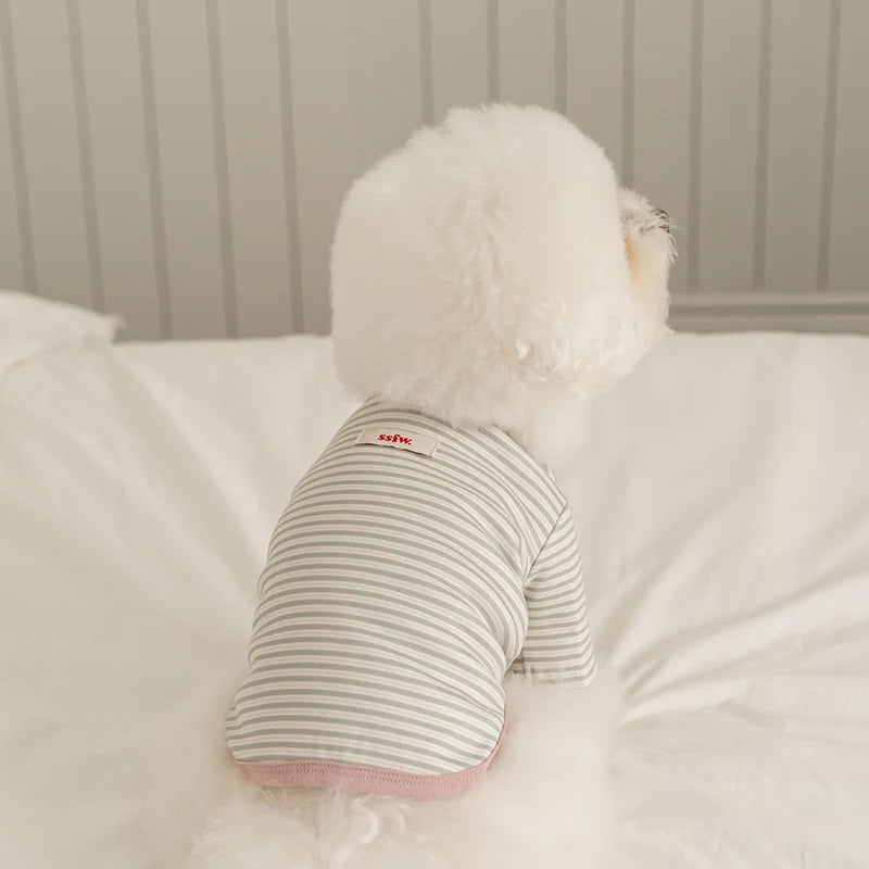 Basic Stripe T-Shirt (3 colors)