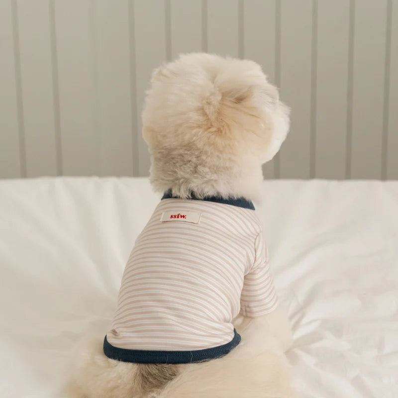 Basic Stripe T-Shirt (3 colors)