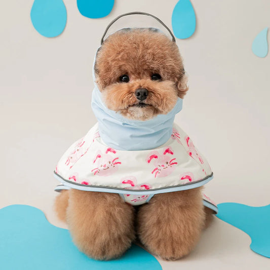 Pokori Friends Harness Raincoat (3 colors)