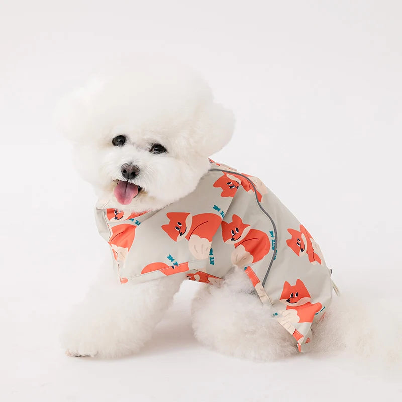 Patterned Raincoat (3 colors)