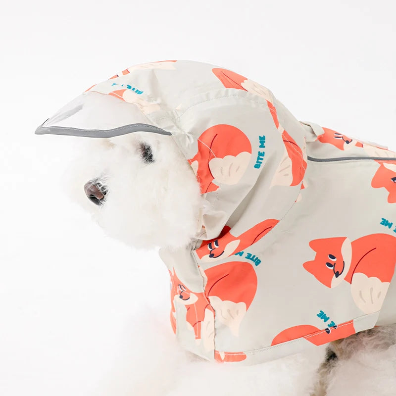 Patterned Raincoat (3 colors)