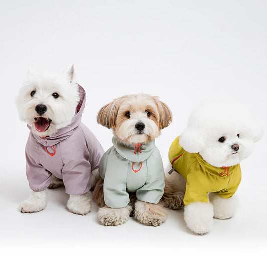 Latta Windbreaker Jacket (3 colors)