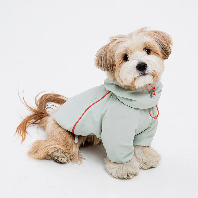 Latta Windbreaker Jacket (3 colors)