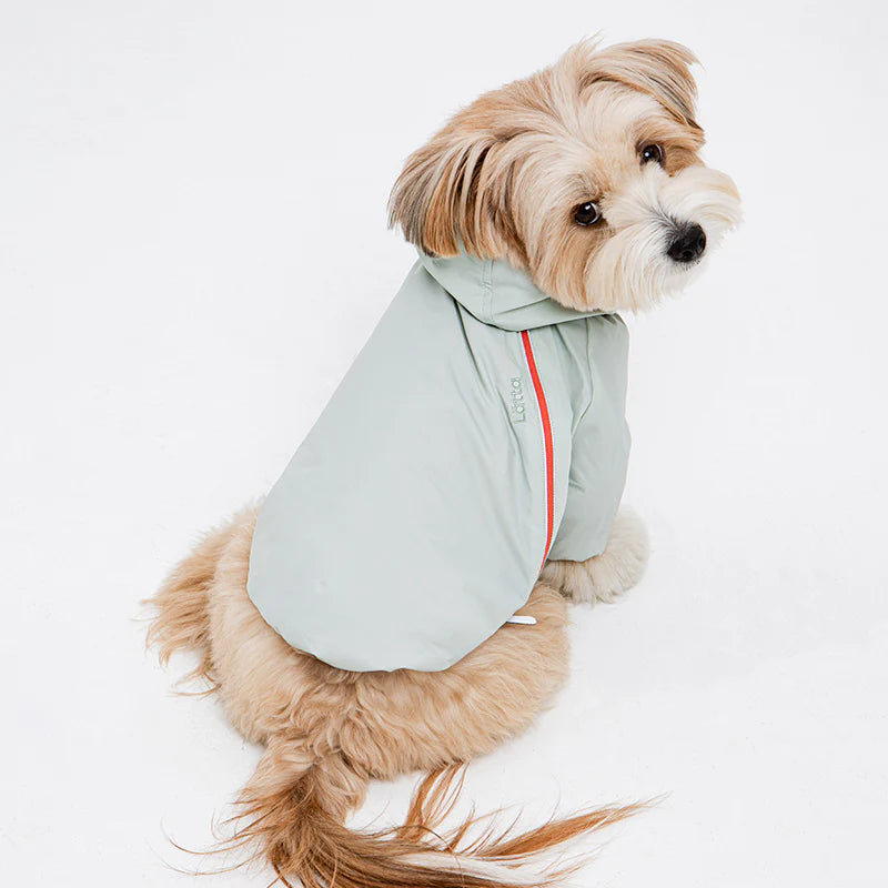 Latta Windbreaker Jacket (3 colors)