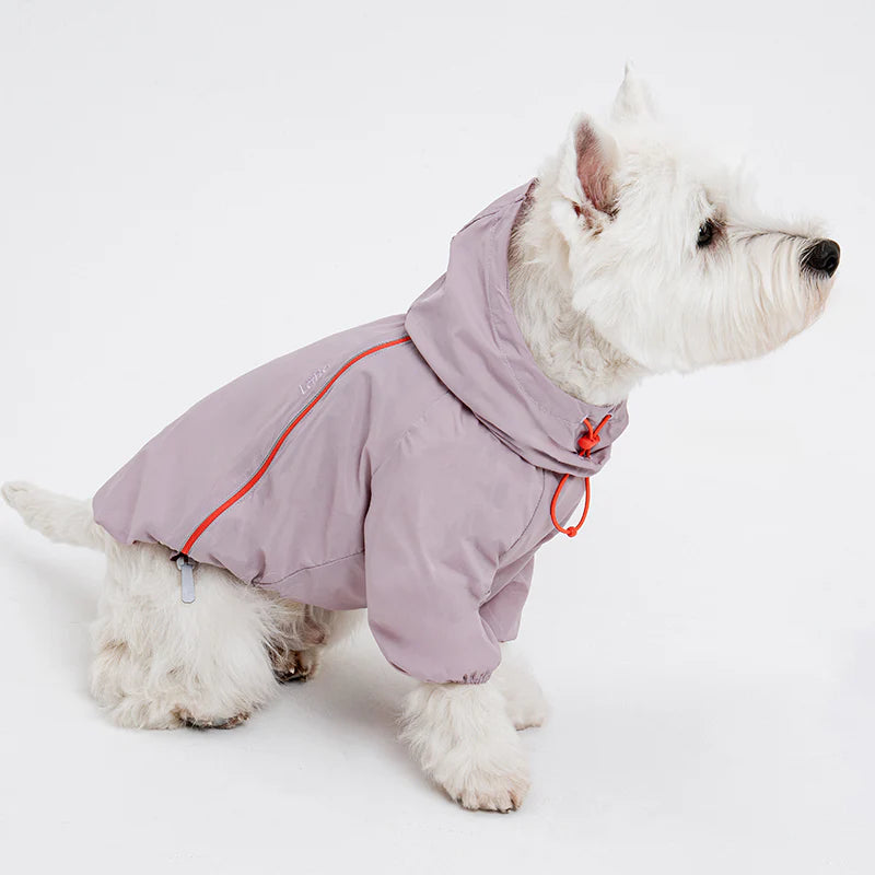 Latta Windbreaker Jacket (3 colors)