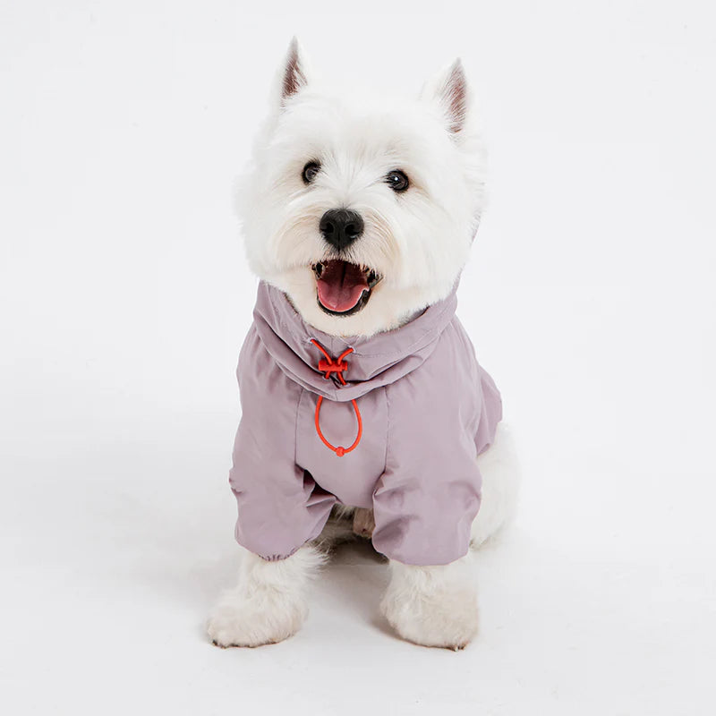 Latta Windbreaker Jacket (3 colors)