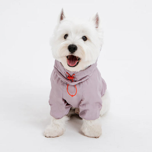 Latta Windbreaker Jacket (3 colors)