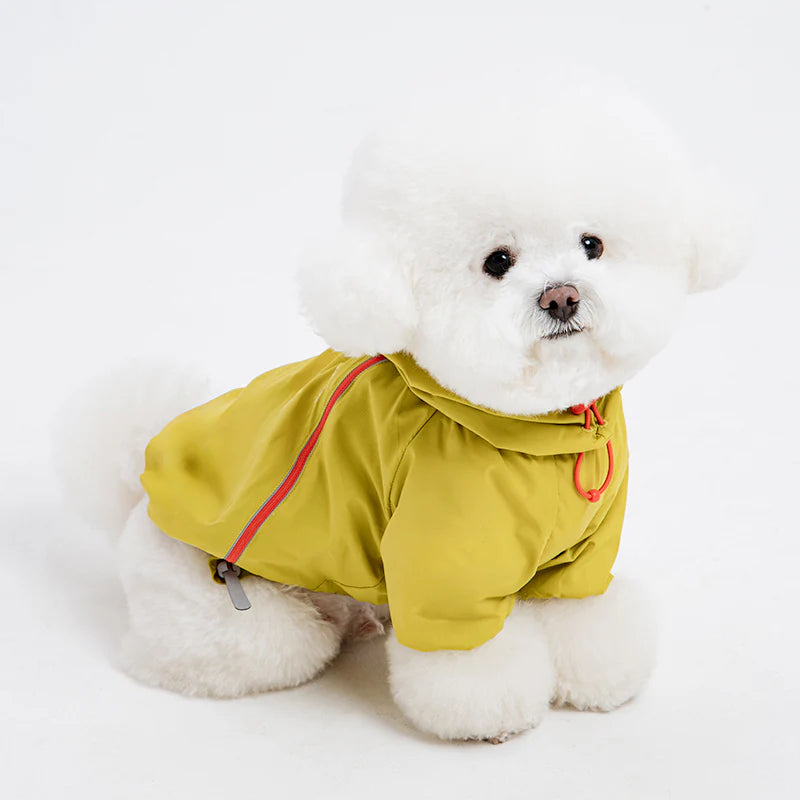 Latta Windbreaker Jacket (3 colors)