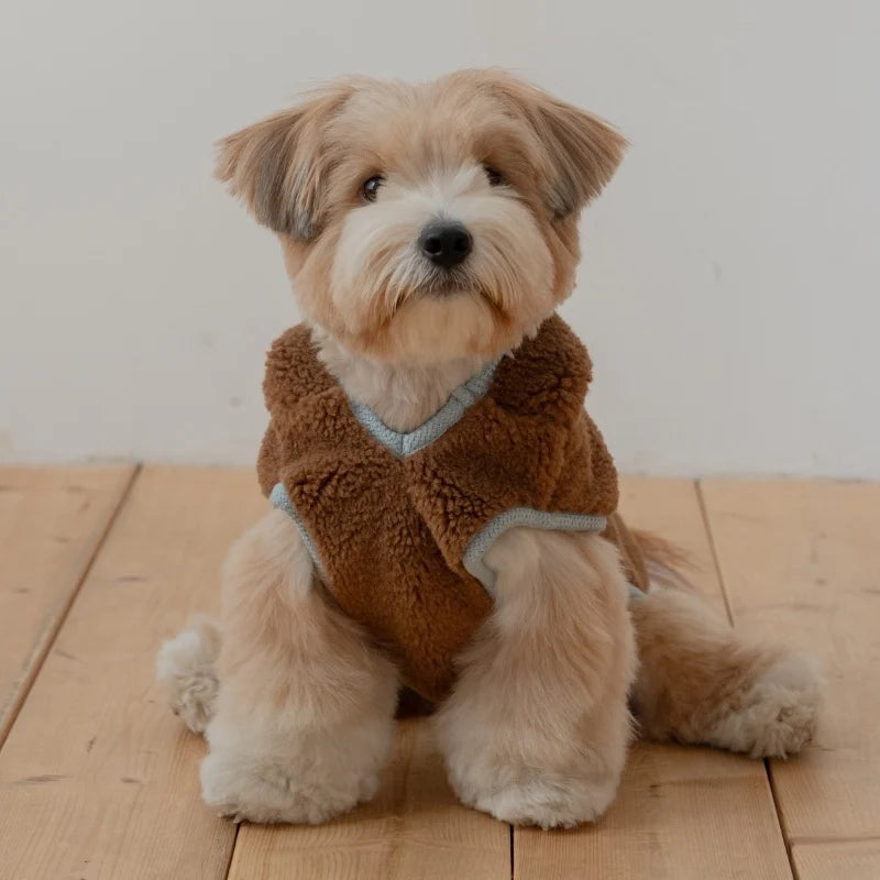 My Bestie Poncho (2 colors)