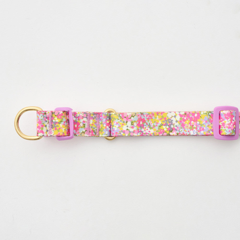 Gentle Collar Dual (Flora)