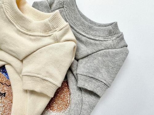 Crew Sweatshirt (2 colors)
