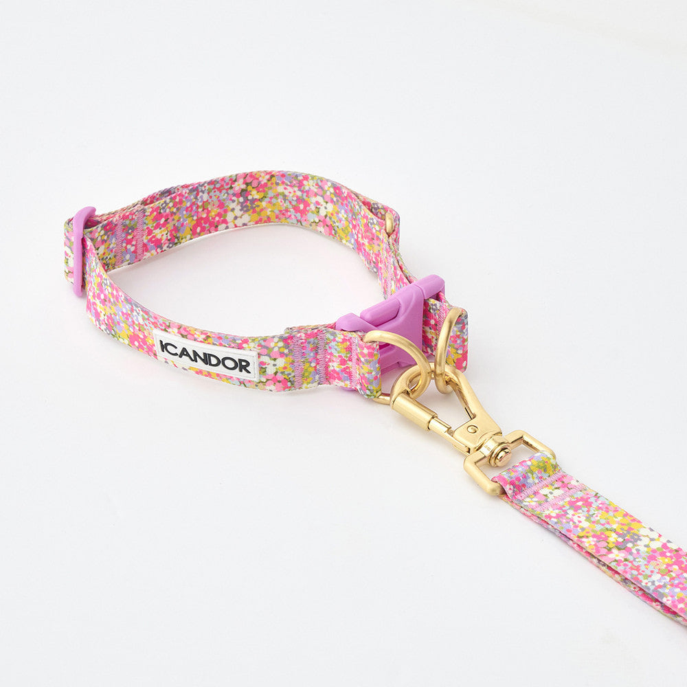 Gentle Collar Dual (Flora)