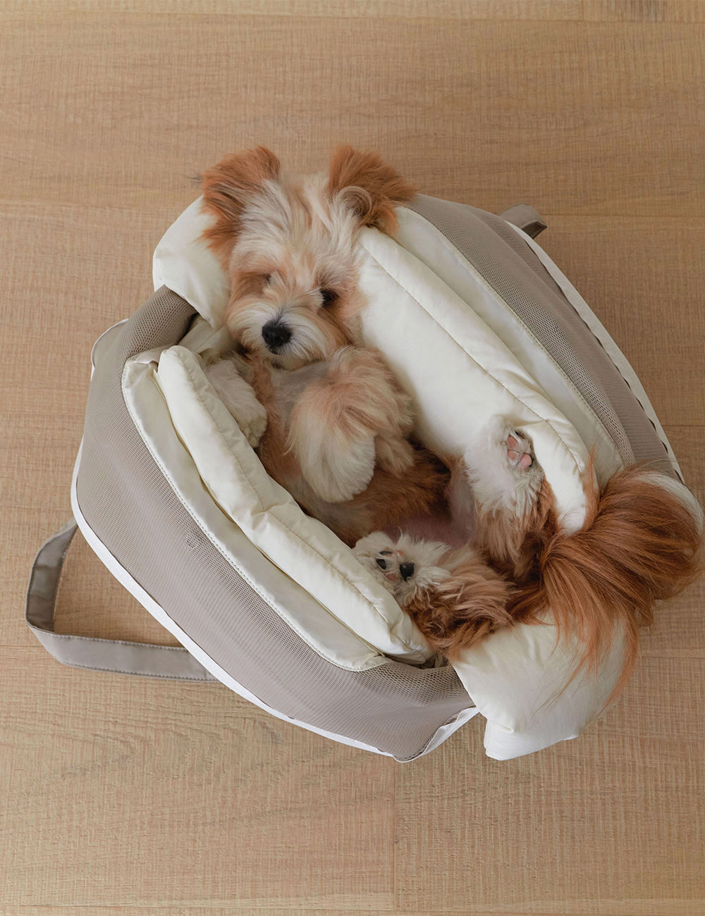 Cushion Bag Pet Carrier (3 colors)