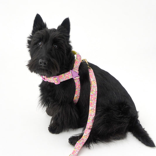 No-Pull Harness (Flora)