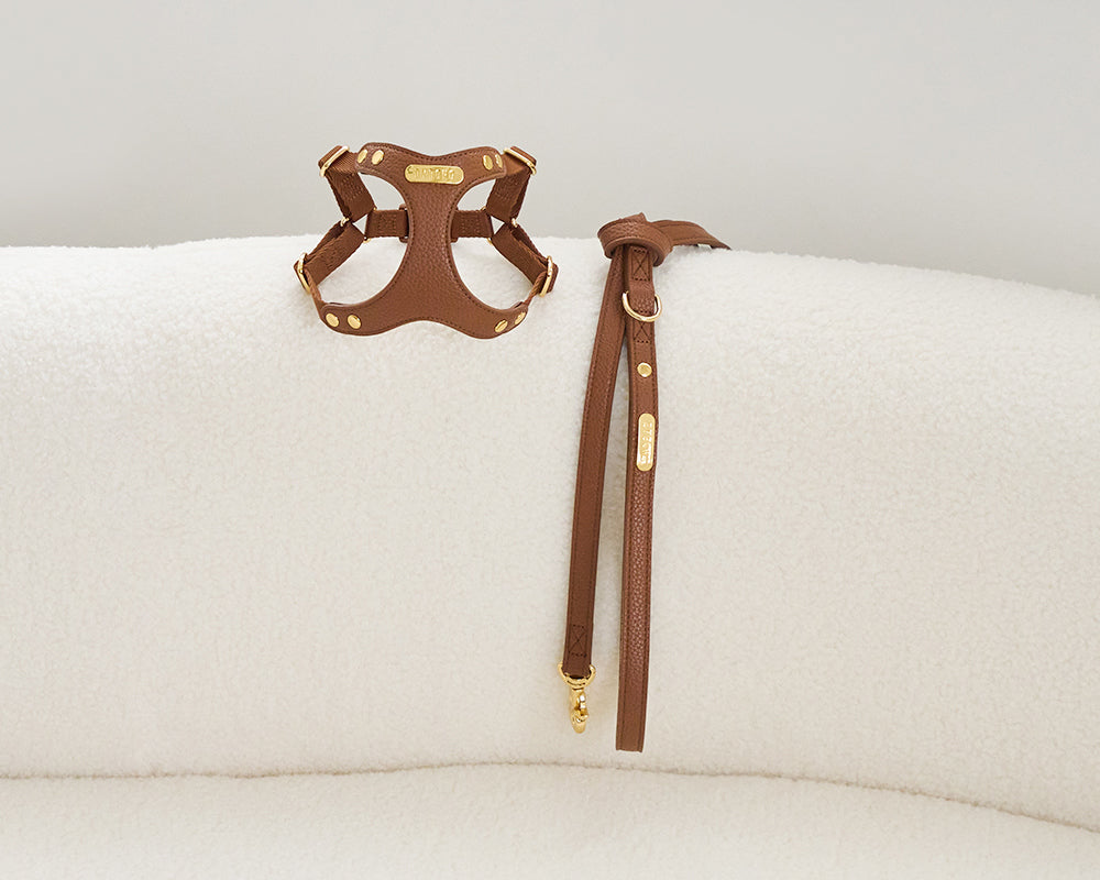 Delight 1.5M Leash (4 colors) preorder