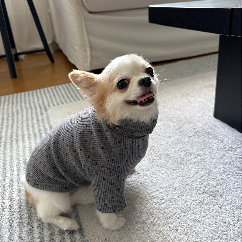 Polka Corduroy Turtleneck Tee (5 colors)