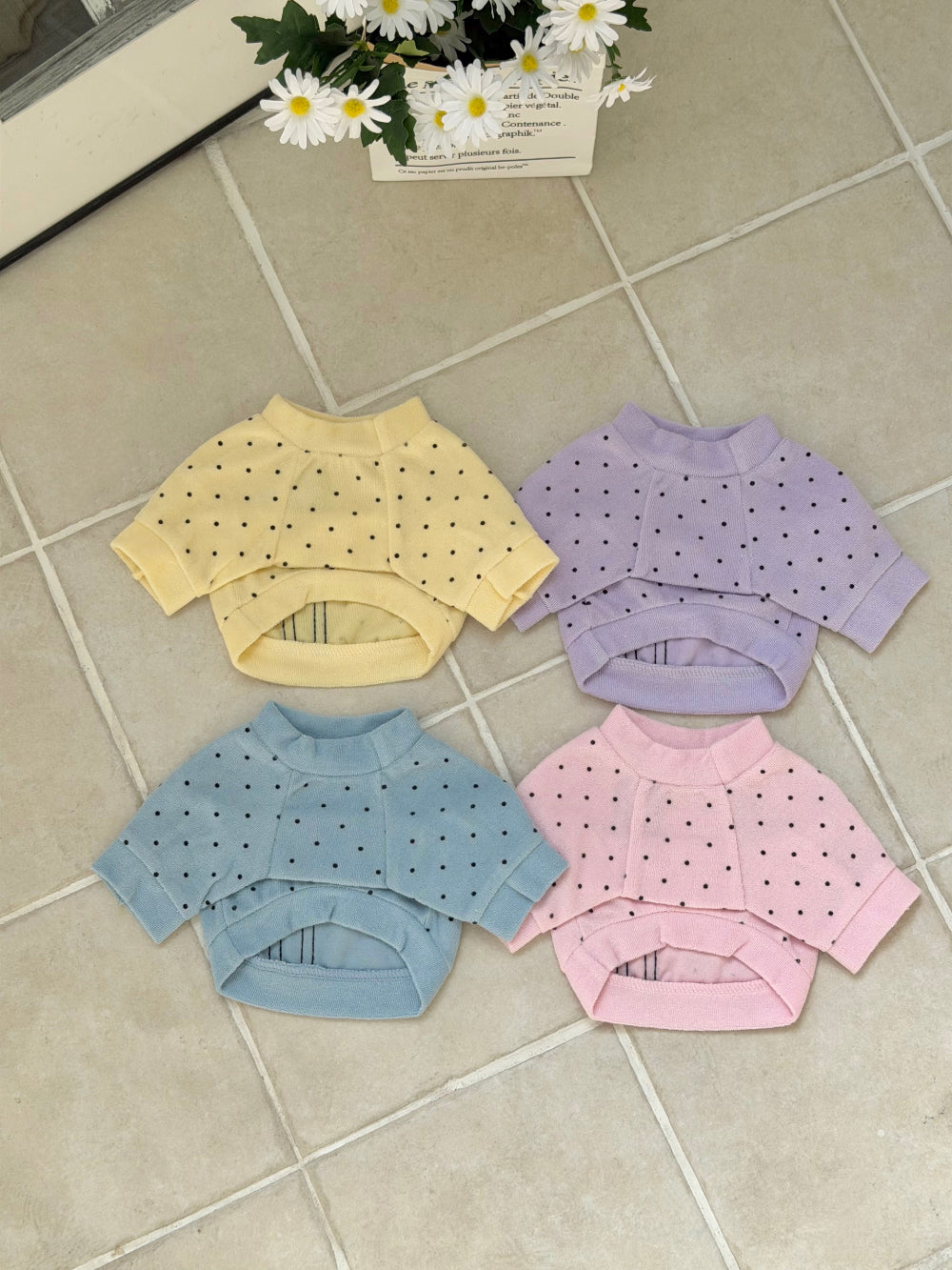 Terry Dot Sweatshirt (4 colors)