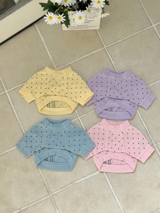 Terry Dot Sweatshirt (4 colors)