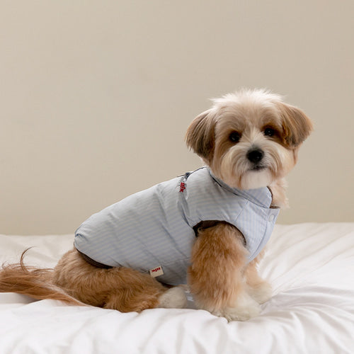 Mongle Reversible Puffer Jacket (3 colors) Preorder