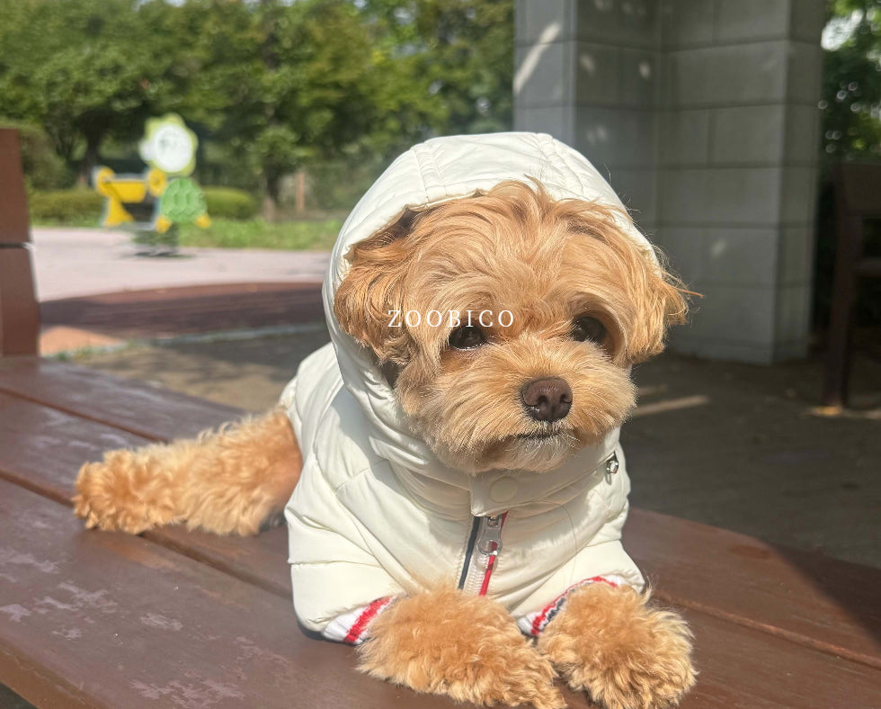 Tricolor Hooded Puffer Jacket (3 colors)