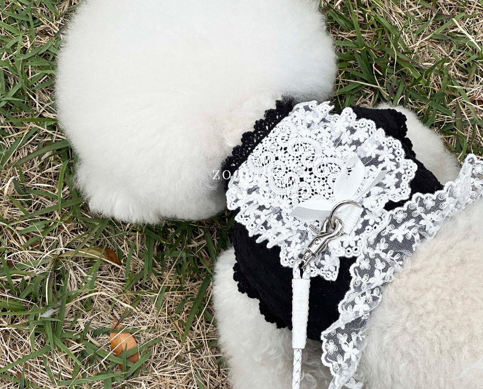 Lace Collar Harness