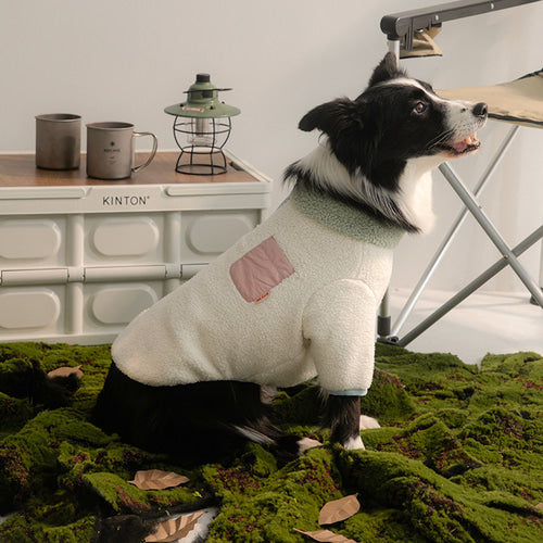 Winter Palette Fleece T-shirt (3 colors)