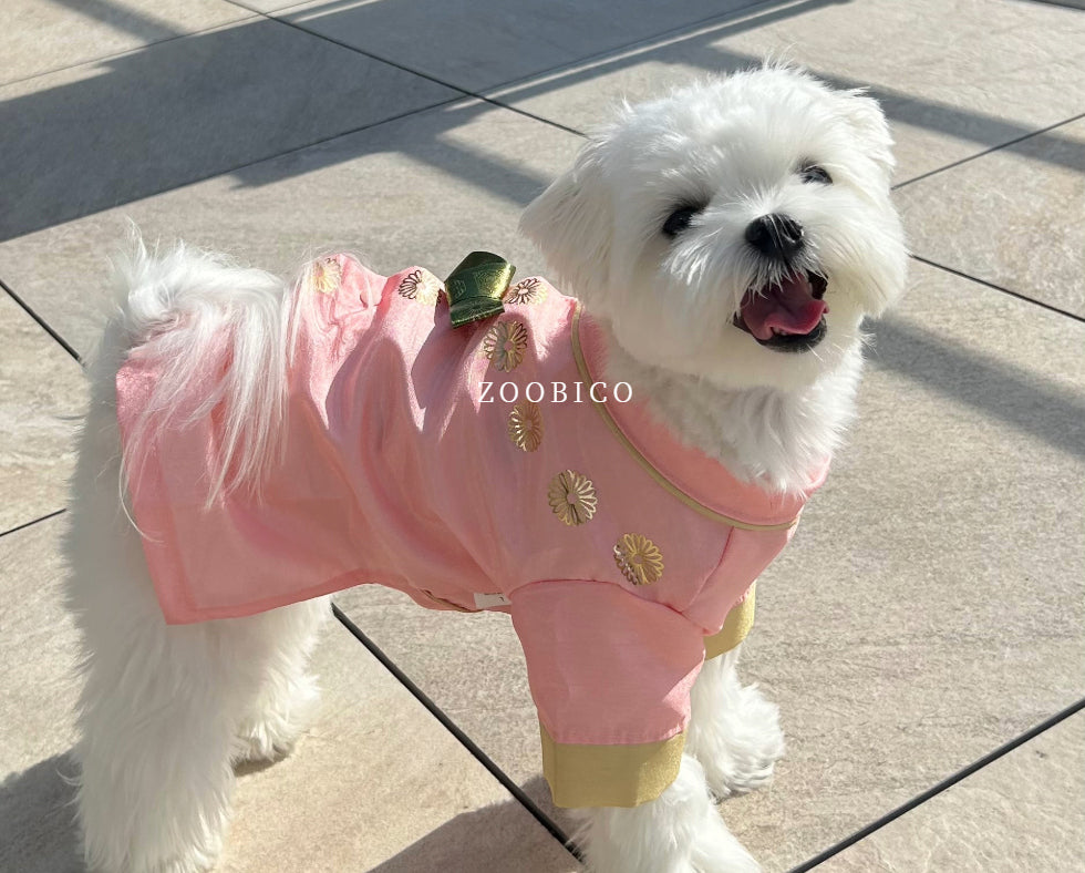 Gold Emblem Traditional Hanbok Vest (2 colors)