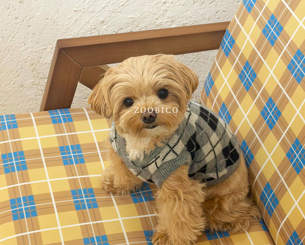 Argyle Knit Vest (2 colors)