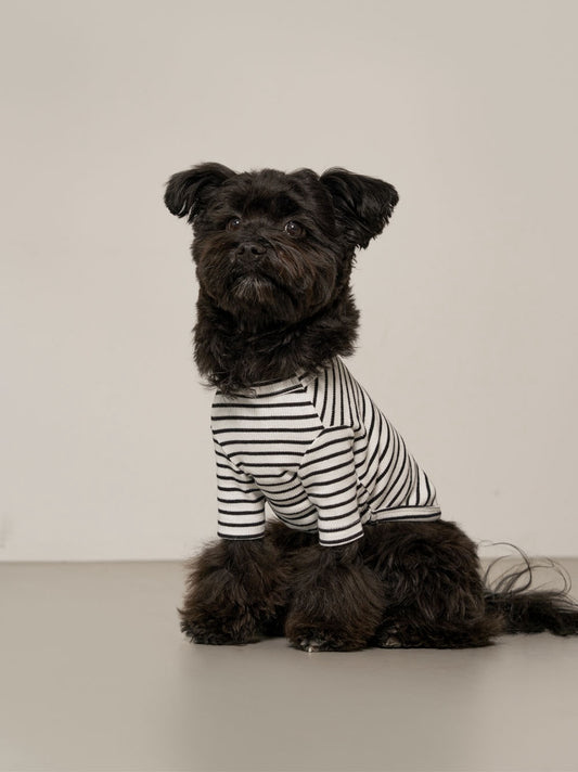 Striped T-Shirt (Black) Preorder